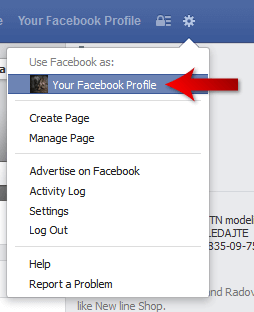 Facebook Profile Login