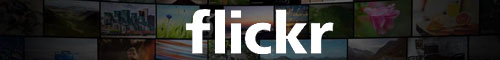 Flickr Banner