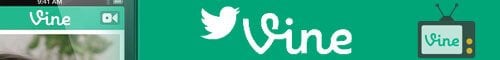 Vine Banner Vine Banner