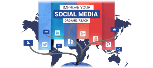 Improve Your Social Media Organic Reach Improve Your Social Media Organic Reach