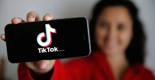 Live TikTok Counter