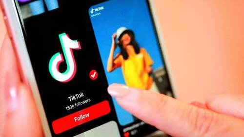 TikTok Followers Count